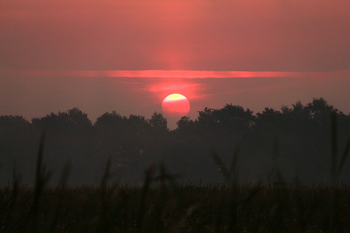 Mglisty wschód słońca 2
Słowa kluczowe: mgła,pomarańczowy,różowy,słońce