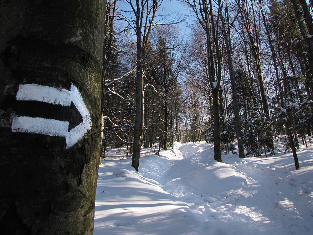 Zimowy Leskowiec
Beskidy 2012
Słowa kluczowe: zima,biały,las