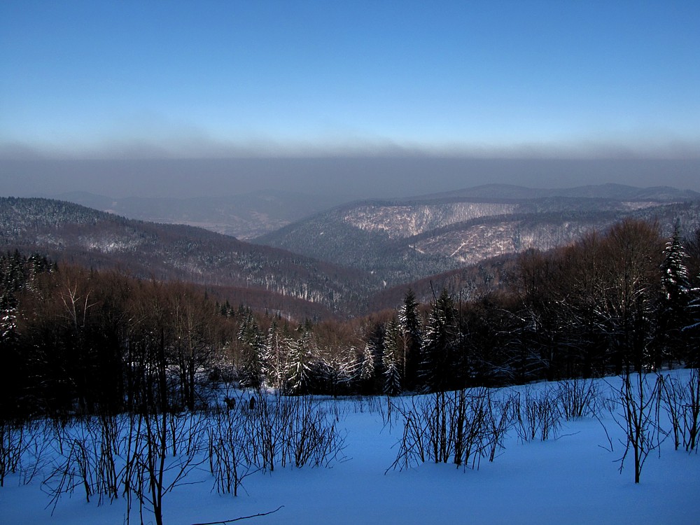 Smog nad Beskidem Małym
Beskidy 2012
Słowa kluczowe: zima,niebieski,góry