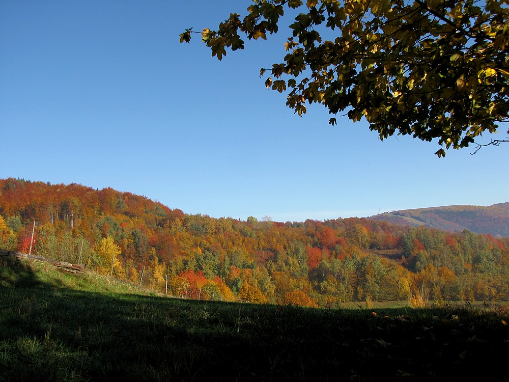 Jesień w Beskidach
