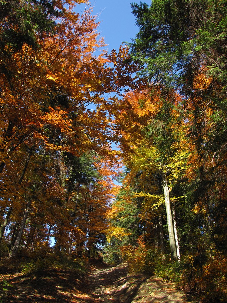 Jesień w Beskidach
Wejście na Czupel 
