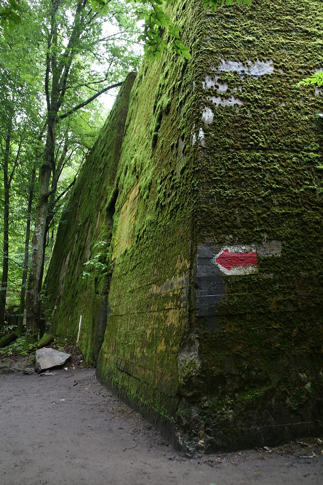 Wilczy Szaniec, bunkry
Gierłoż, Mazury 2013
Słowa kluczowe: zielony,las