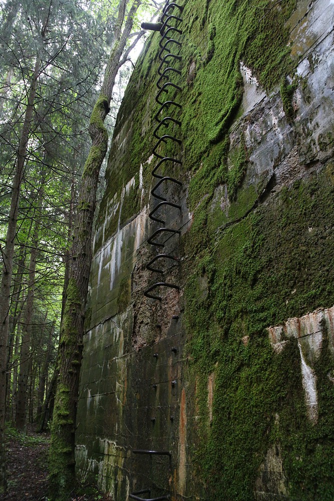Wilczy Szaniec, bunkry
Gierłoż, Mazury 2013
Słowa kluczowe: zielony,las