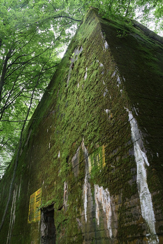 Wilczy Szaniec, bunkry
Gierłoż, Mazury 2013
Słowa kluczowe: zielony,las