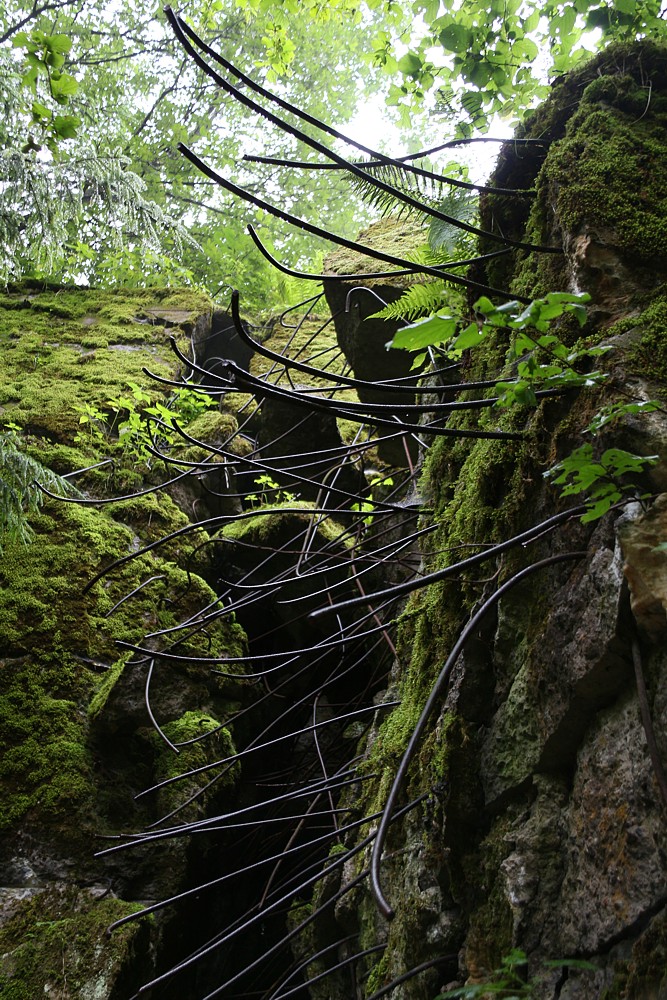 Wilczy Szaniec, drut zbrojeniowy rozerwany podczas detonacji
Gierłoż, Mazury 2013
Słowa kluczowe: zielony,las