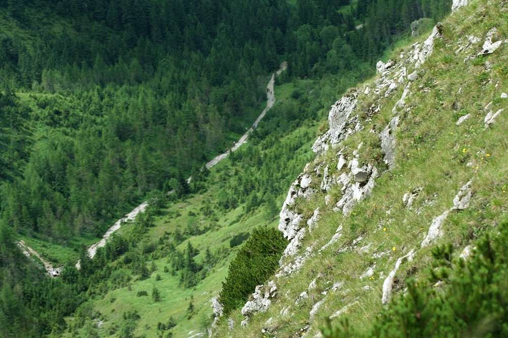 Dolina Jaworzynka
Tatry 2011
Słowa kluczowe: góry