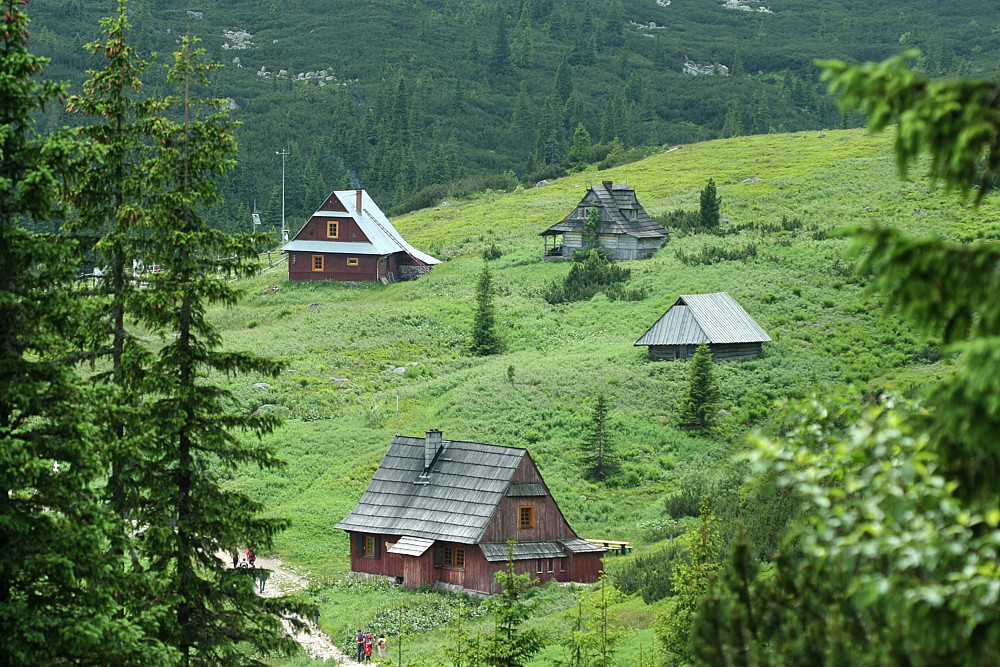 Hala Gąsienicowa
Widok na Betlejemkę - Centralny Ośrodek Szkolenia, Polski Związek Alpinizmu 
Tatry 2011
Słowa kluczowe: budynek,góry,zielony