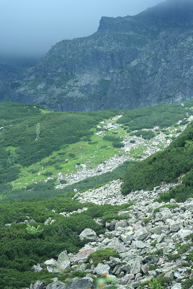 Podejście na Czarny Staw Gąsienicowy
Zbliża się ciężka chmura. Kilka minut później spadł grad.
Tatry 2011
Słowa kluczowe: góry