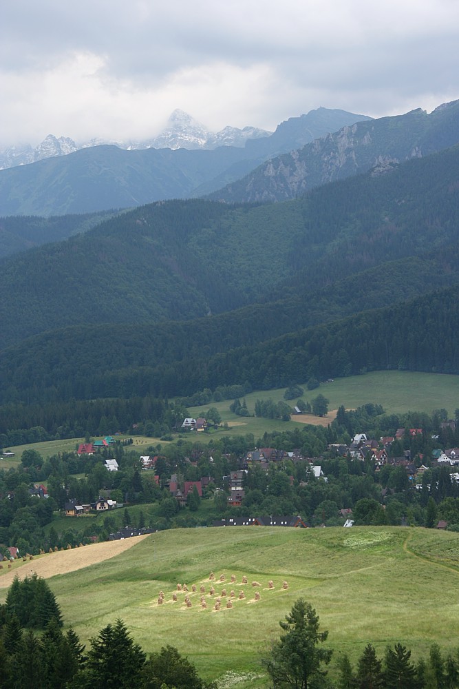 Wjazd na Butorowy Wierch
Tatry 2011
Słowa kluczowe: góry