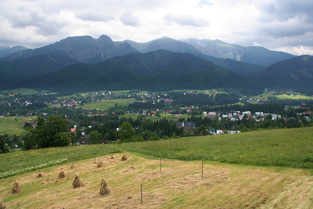 Wjazd na Butorowy Wierch
Tatry 2011
Słowa kluczowe: góry,łąka,niebieski,słońce