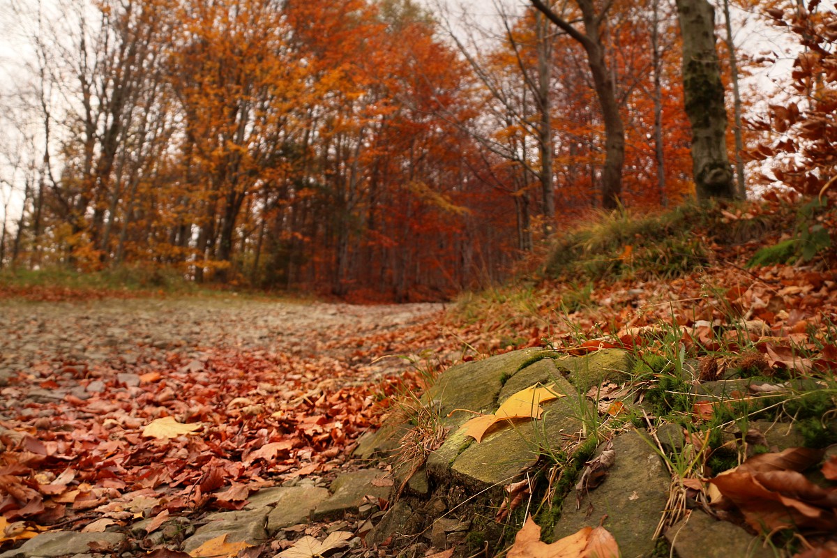 Beskid jesiennie 4
