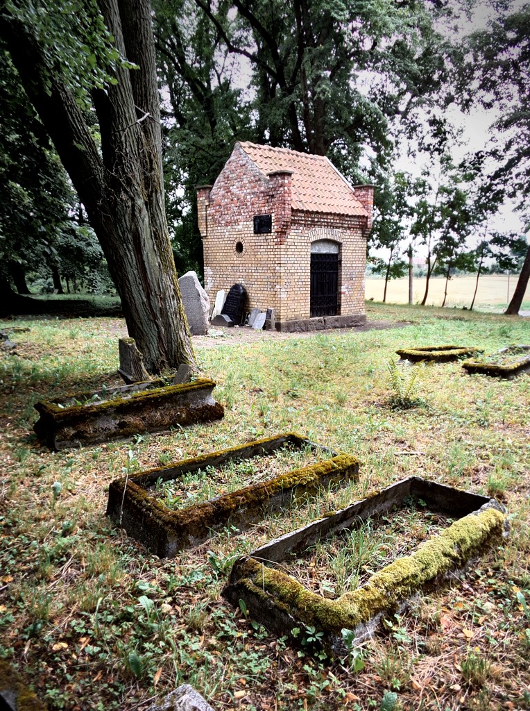Sępopol, stary cmentarz
Mazury 2014
