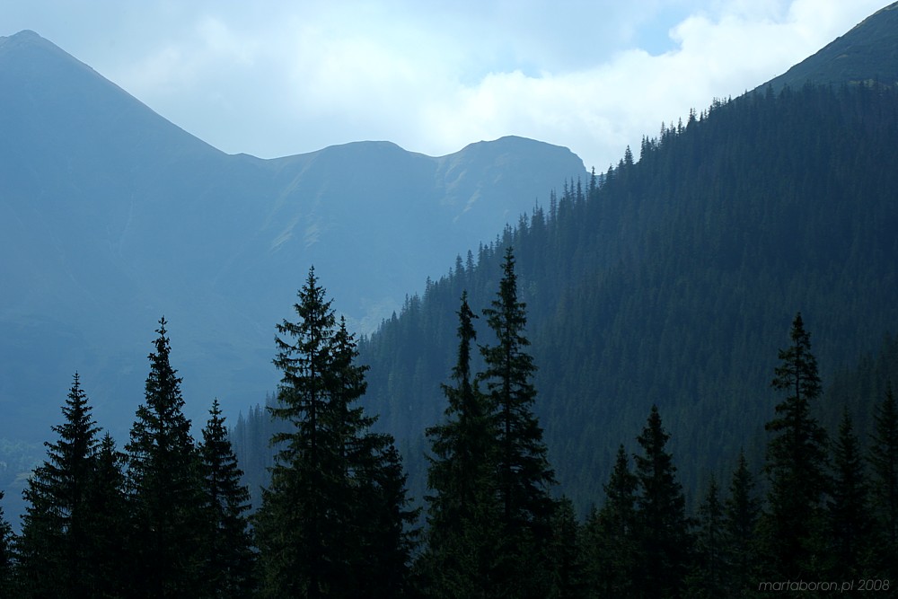 Dolina Kościeliska, Tatry 2008
Słowa kluczowe: góry,niebieski
