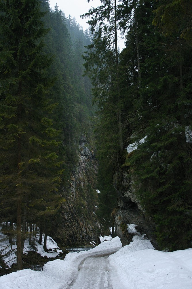 Dolina Kościeliska
Tatry 2013
