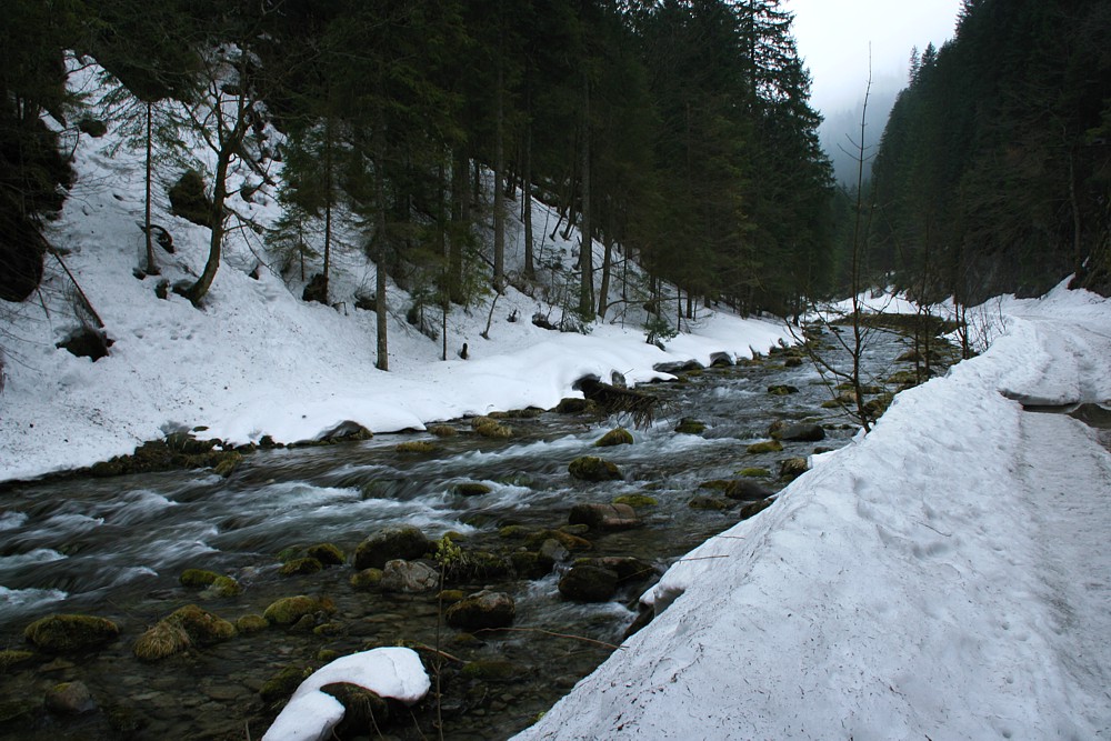 Dolina Kościeliska
Tatry 2013

