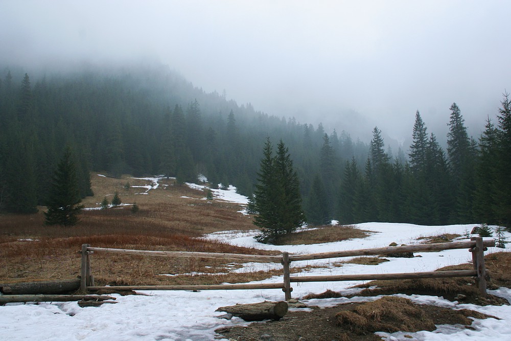 Dolina Kościeliska
Tatry 2013
