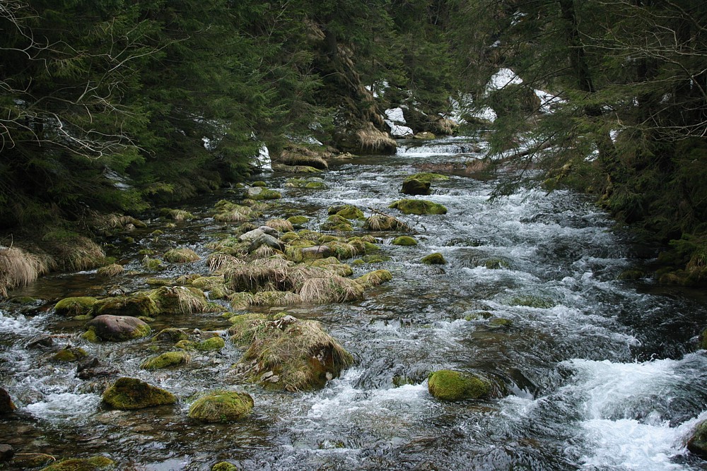 Dolina Kościeliska
Tatry 2013
