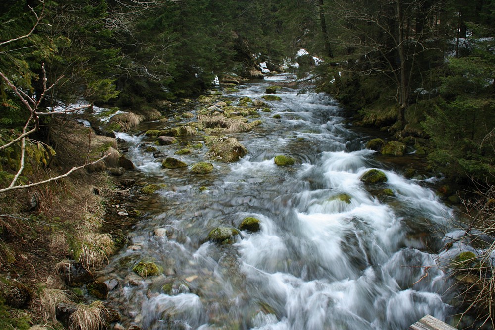 Dolina Kościeliska
Tatry 2013
