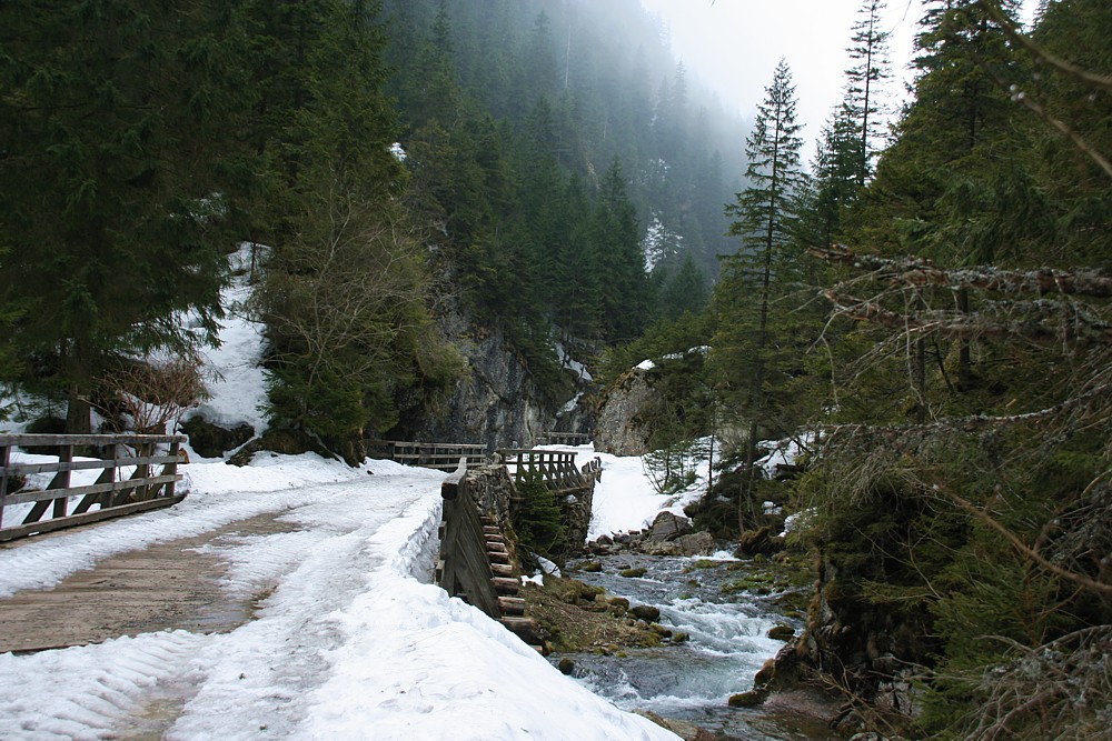 Dolina Kościeliska
Tatry 2013
