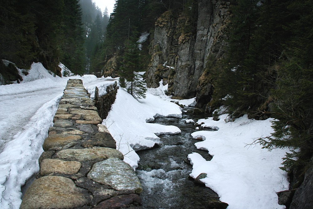Dolina Kościeliska
Tatry 2013
