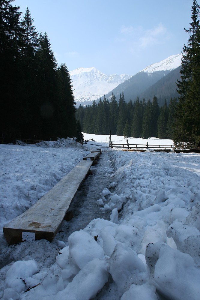 Hala Ornak, Dolina Kościeliska
Tatry 2013
