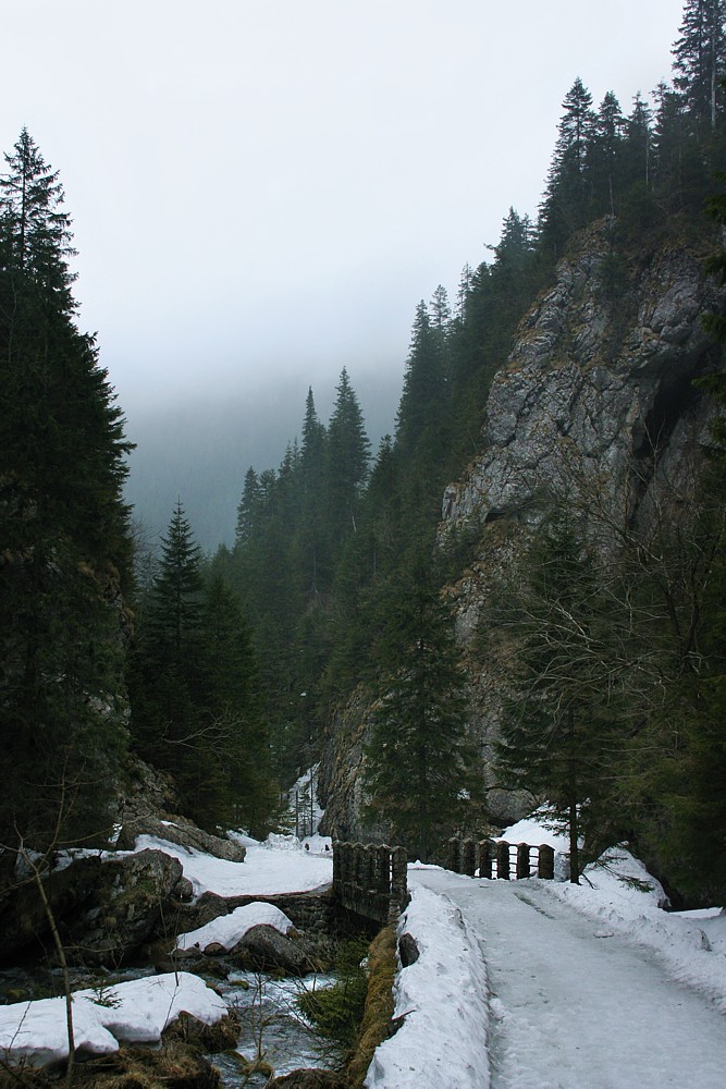 Dolina Kościeliska
Tatry 2013

