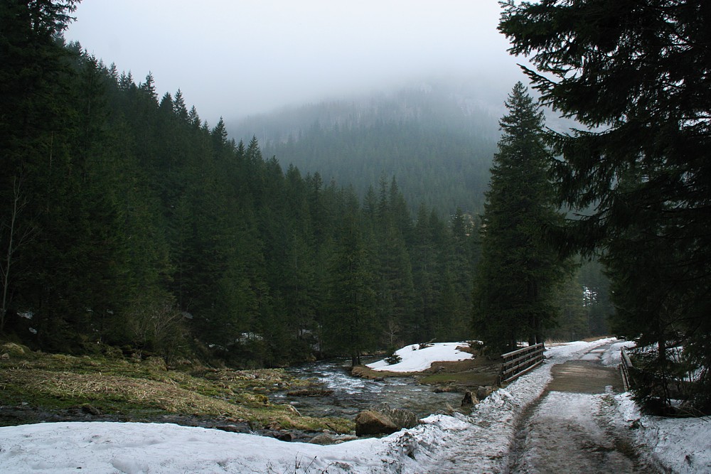 Dolina Kościeliska
Tatry 2013
