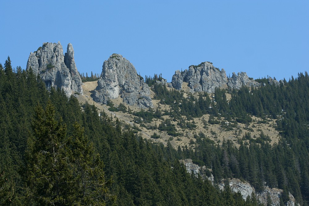 Dolina Chochołowska
Tatry 2013
