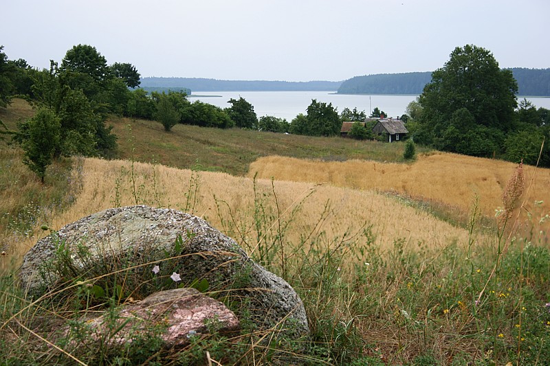 Ze wzgórza
Wigierski Park Narowody, 2006
Słowa kluczowe: woda,łąka