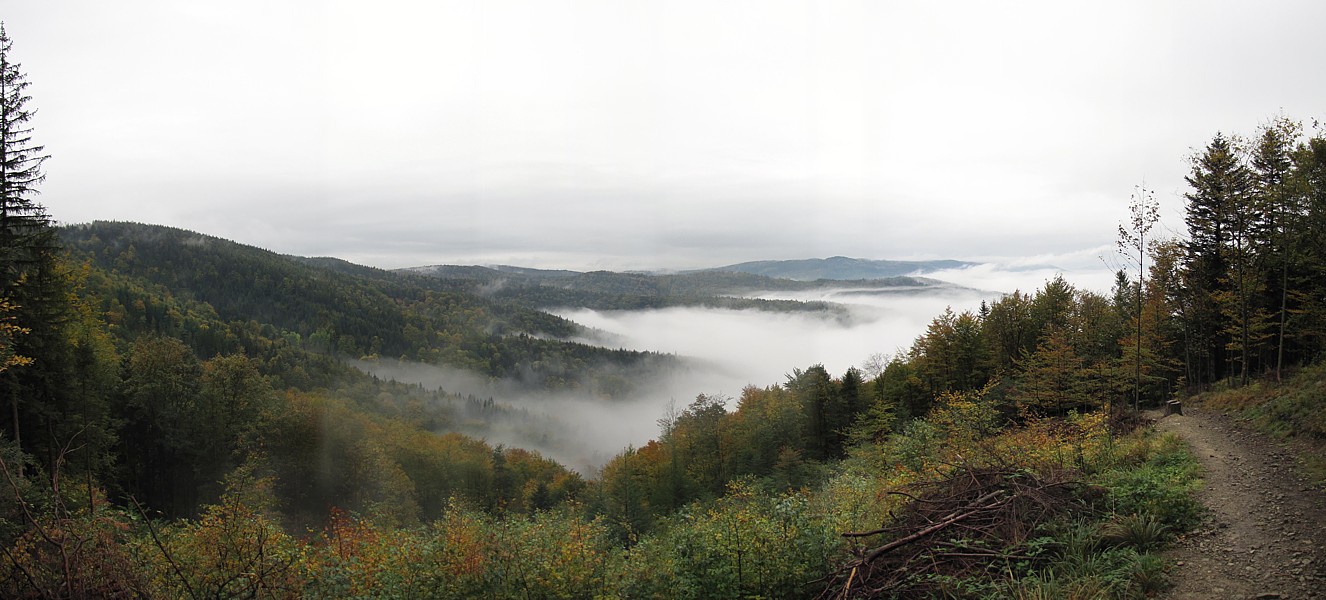 Leskowiec - Beskidy 2009
Panorama
[i]Photo by G.W.[/i]
Słowa kluczowe: góry,panorama,jesień