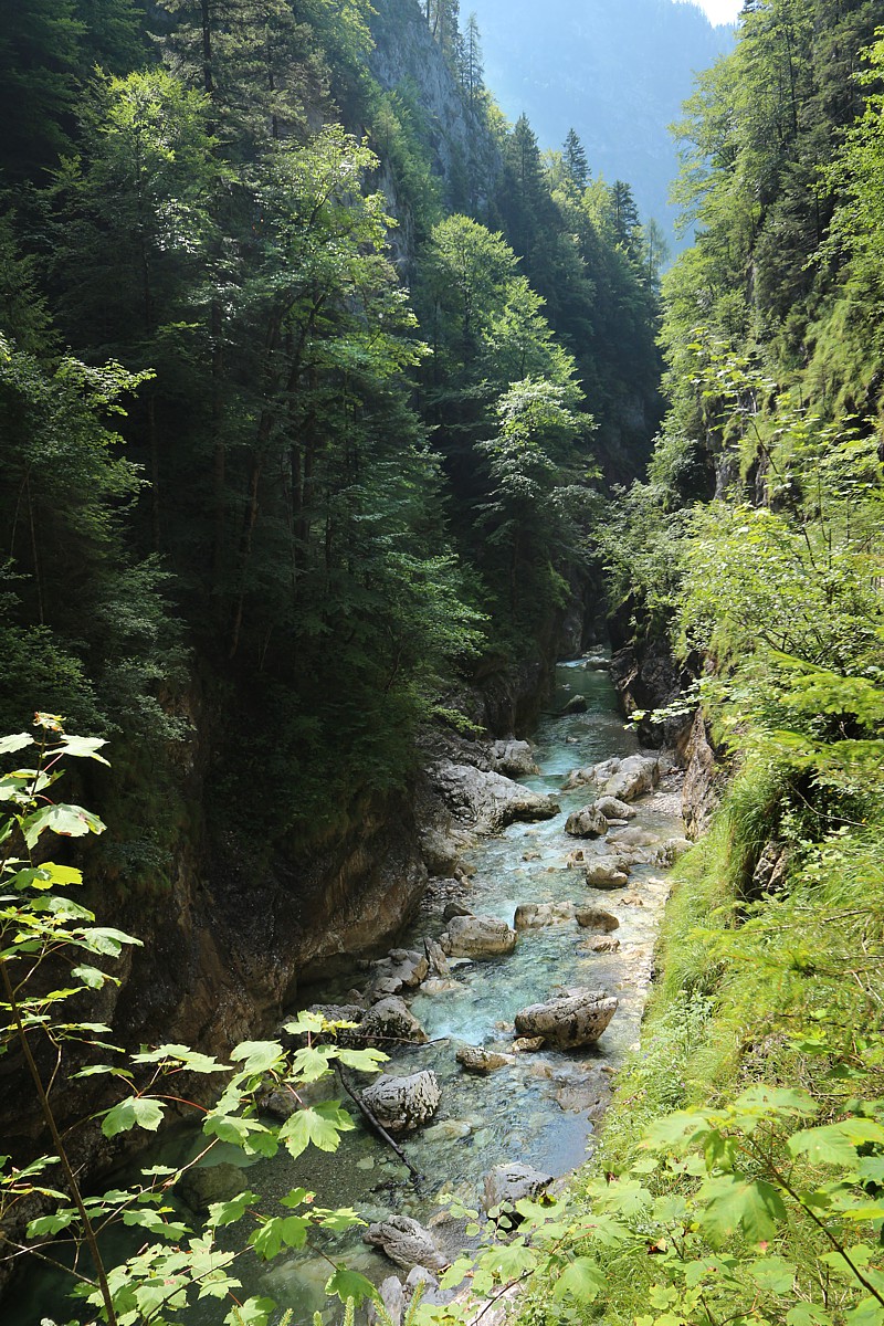 Kamienisty kanion
Austria 2018
Słowa kluczowe: woda,las,zielony,góry