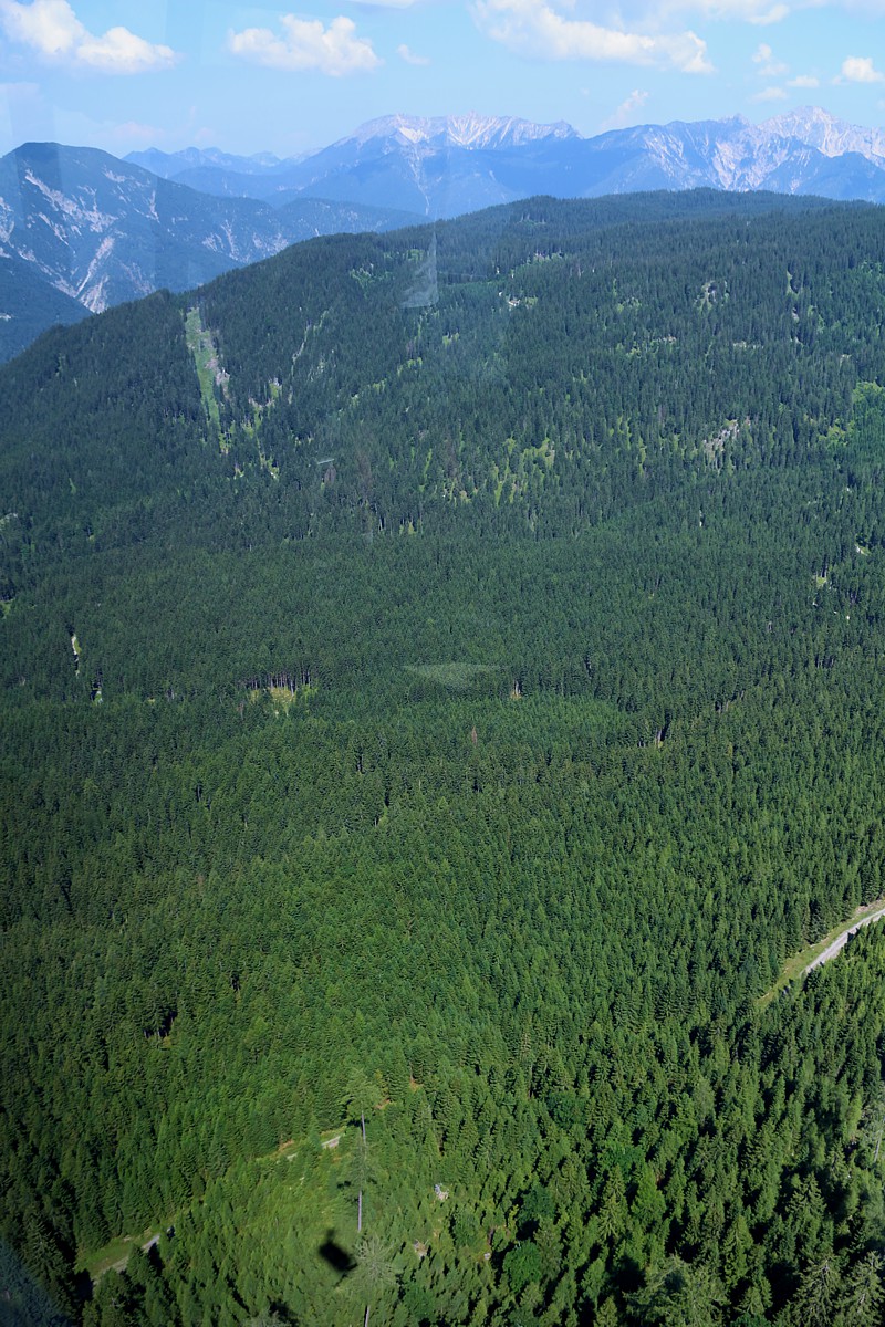Zugspitze
Austria 2018
Słowa kluczowe: góry,las,zielony
