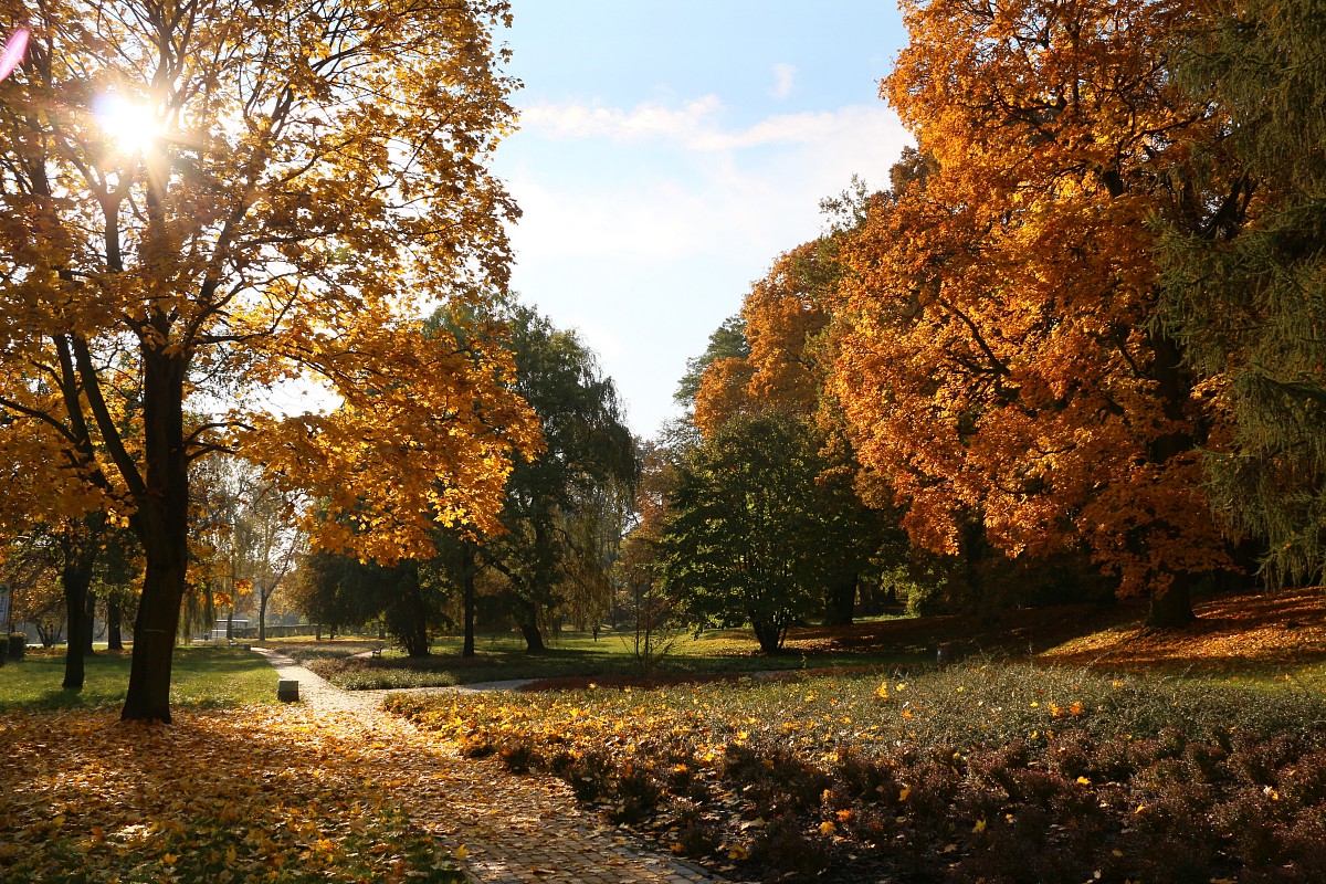 Jesiennie
Park w Bytomiu
Słowa kluczowe: jesień,żółty,słońce
