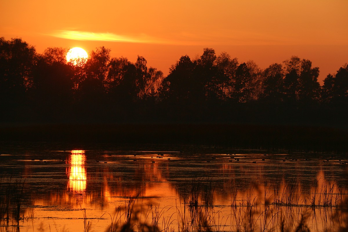 Zachód słońca nad wodą
Stawy na Zaborzu, Oświęcim, 2017
Słowa kluczowe: woda,słońce,pomarańczowy