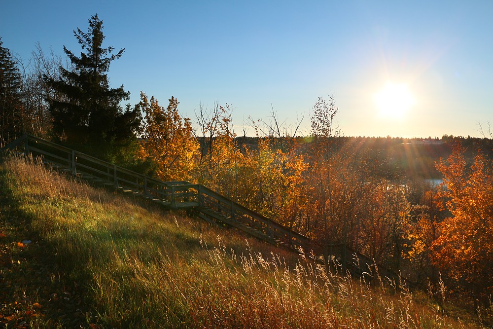 Drewniane schody
Edmonton
Canada 2015
Słowa kluczowe: jesień,las,słońce