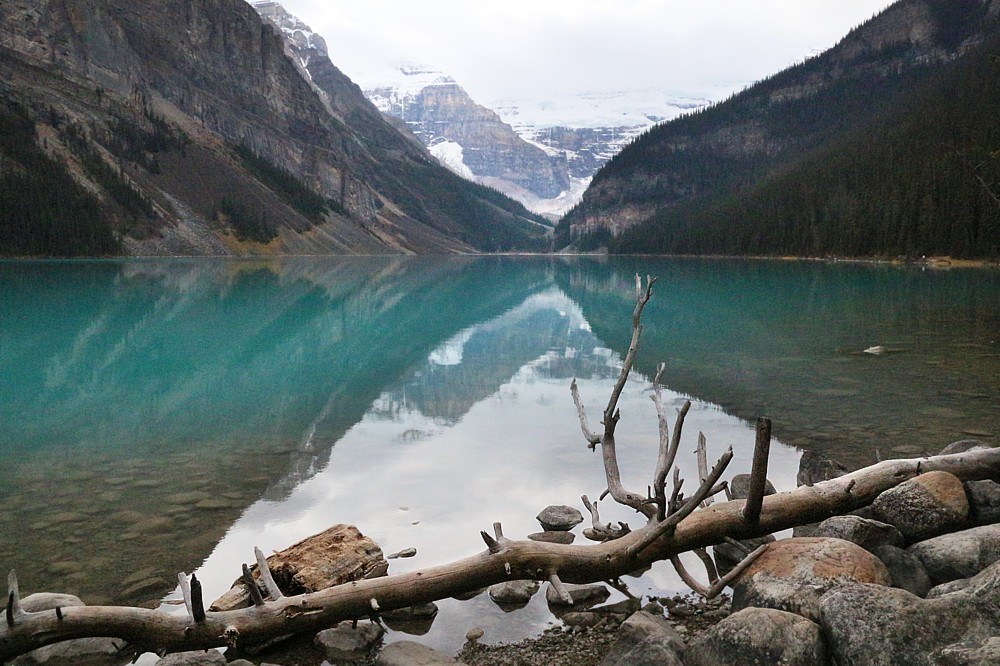 Lake Louise
Banff National Park
Canada 2015
Słowa kluczowe: góry,woda,niebieski