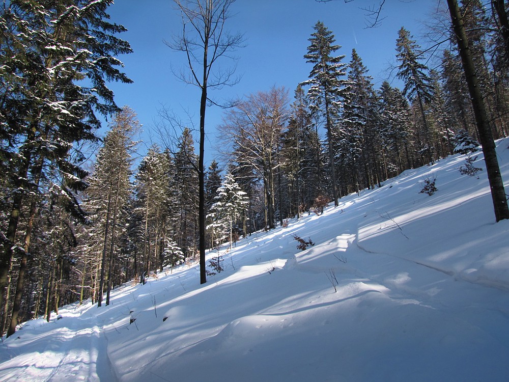 Zimowy Leskowiec
Beskidy 2012
Słowa kluczowe: zima,biały,niebieski,las