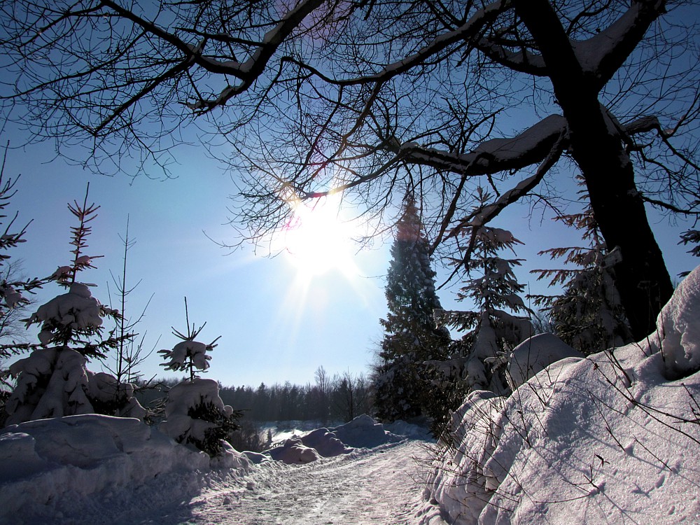 Zimowy Leskowiec
Beskidy 2012
Słowa kluczowe: zima,biały,niebieski,las,słońce