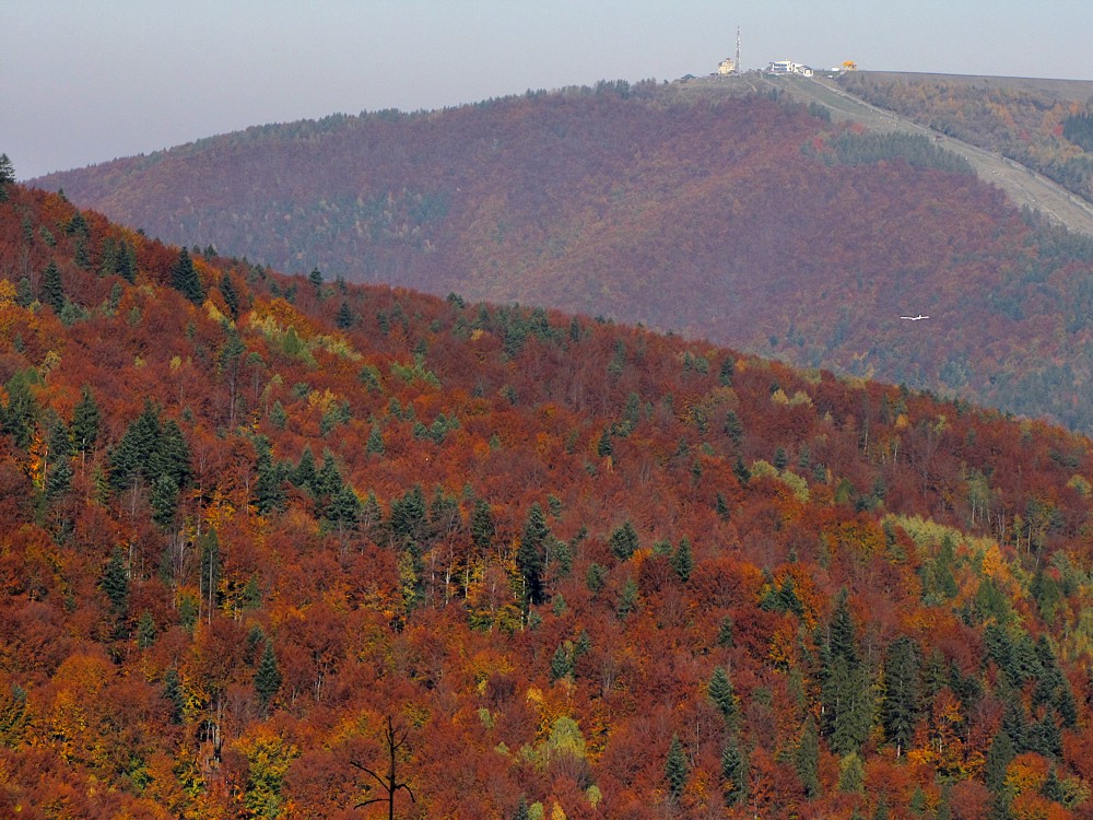 Jesień w Beskidach
Widok na górę Żar
