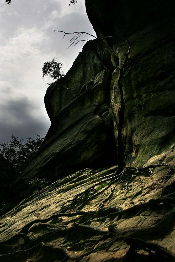 Rezerwat Geologiczny "Prządki" 
Bieszczady 2011
Słowa kluczowe: góry