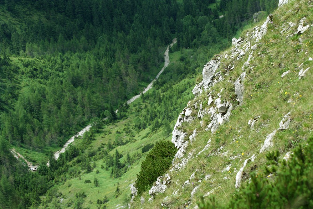 Dolina Jaworzynka
Tatry 2011
Słowa kluczowe: góry
