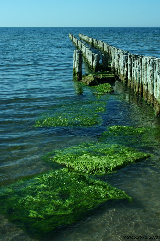 Zielony Bałtyk
Mielno 2008
Słowa kluczowe: morze,lato