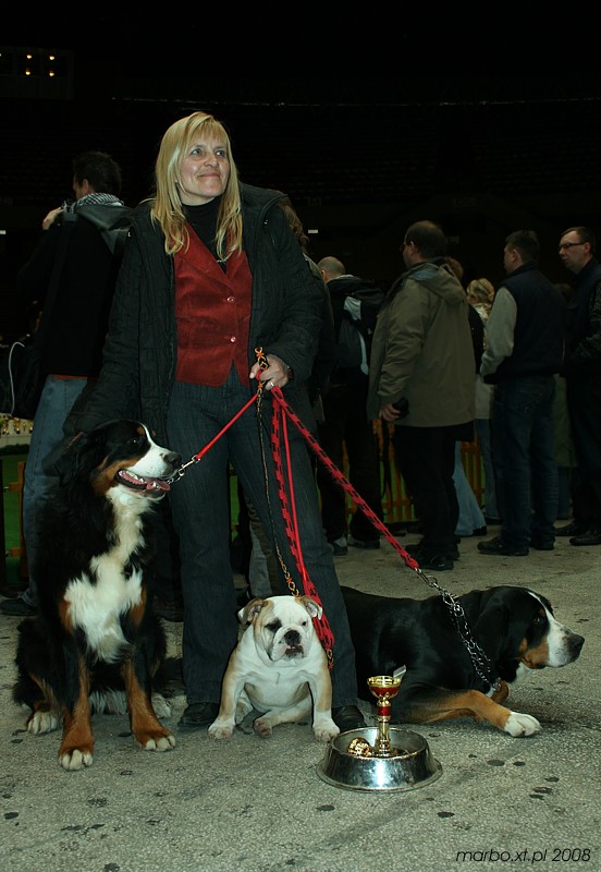 Wystawa psów rasowych
Spodek Katowice 2008
Słowa kluczowe: pies