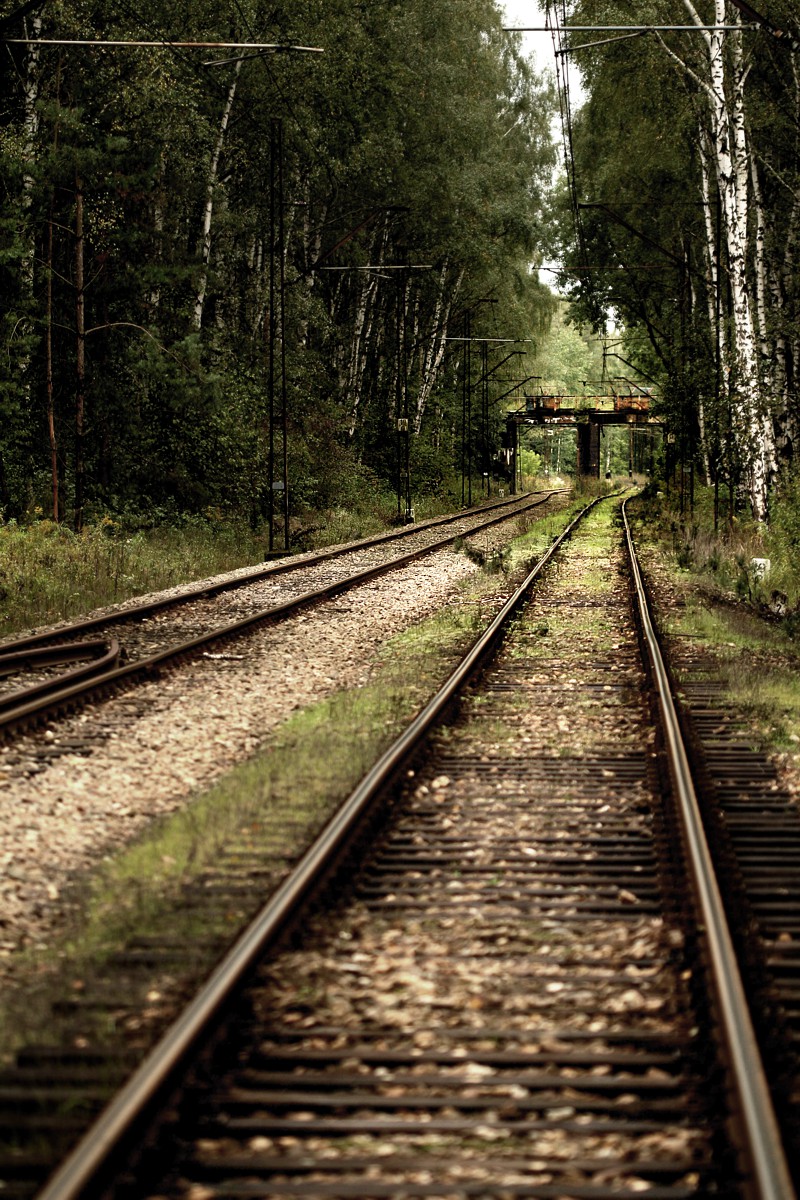 Stara linia kolejowa
Słowa kluczowe: las