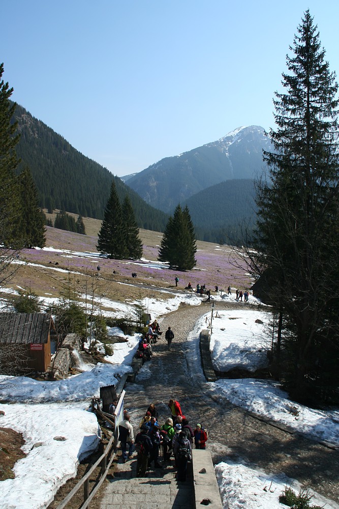 Dolina Chochołowska
Widok ze schorniska
Tatry 2013
