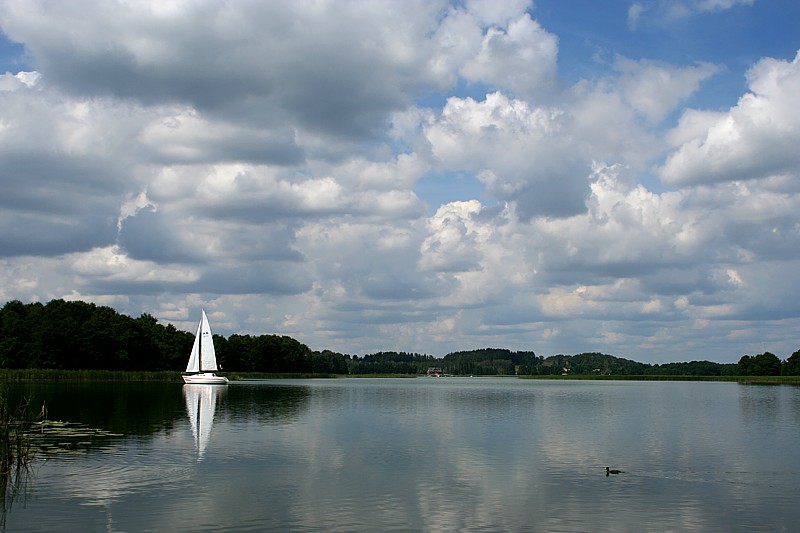 Wigierski Park Narodowy, 2006
Słowa kluczowe: woda,łódź